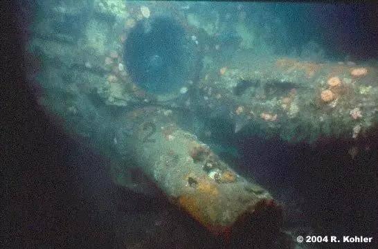 解决问题尽在两箱电动新能源车能加入吗？，一问一答解疑释惑